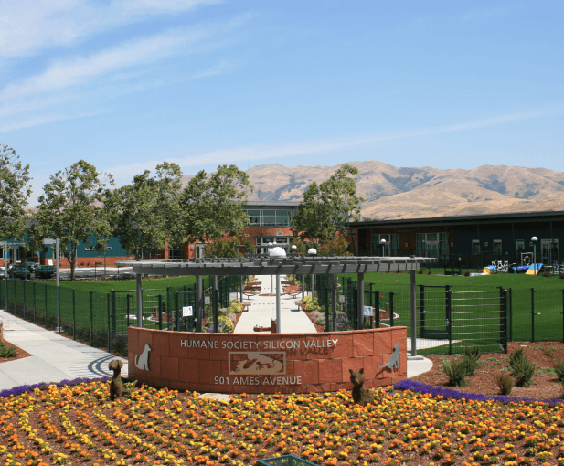 LEED / Green Building